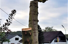 Garten und Landschaftsbau Holzmichel Baumfällung Kopie